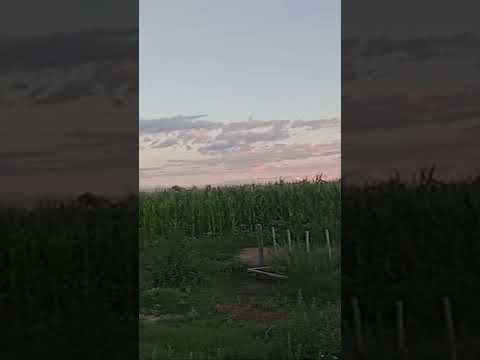 Zona Concaran, San Luis