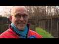 Joodse begraafplaats in Dordrecht beklad