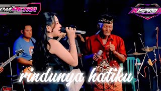 Download lagu RINDUNYA HATIKU DESSY RAFAELA OM PETRA  mp3