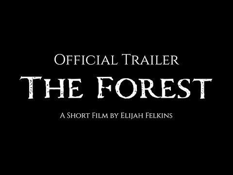 The Forest