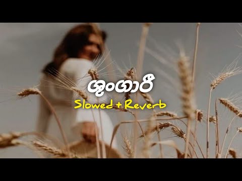 Shungari || ශුංගාරී || Nimaya walagedra [ Slowed and Reverb ] || #01trending