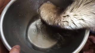 初めての水遊び