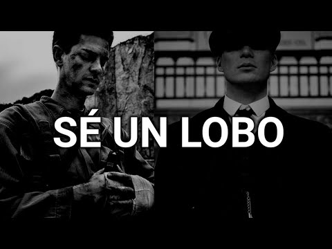 Aprende a Luchar Solo, Sé un lobo Solitario, discurso motivacional.