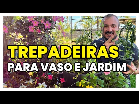 , title : 'Como cultivar TREPADEIRAS em VASO ou no JARDIM'