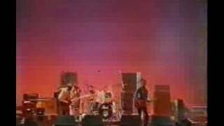 Paul Weller - Sunflower