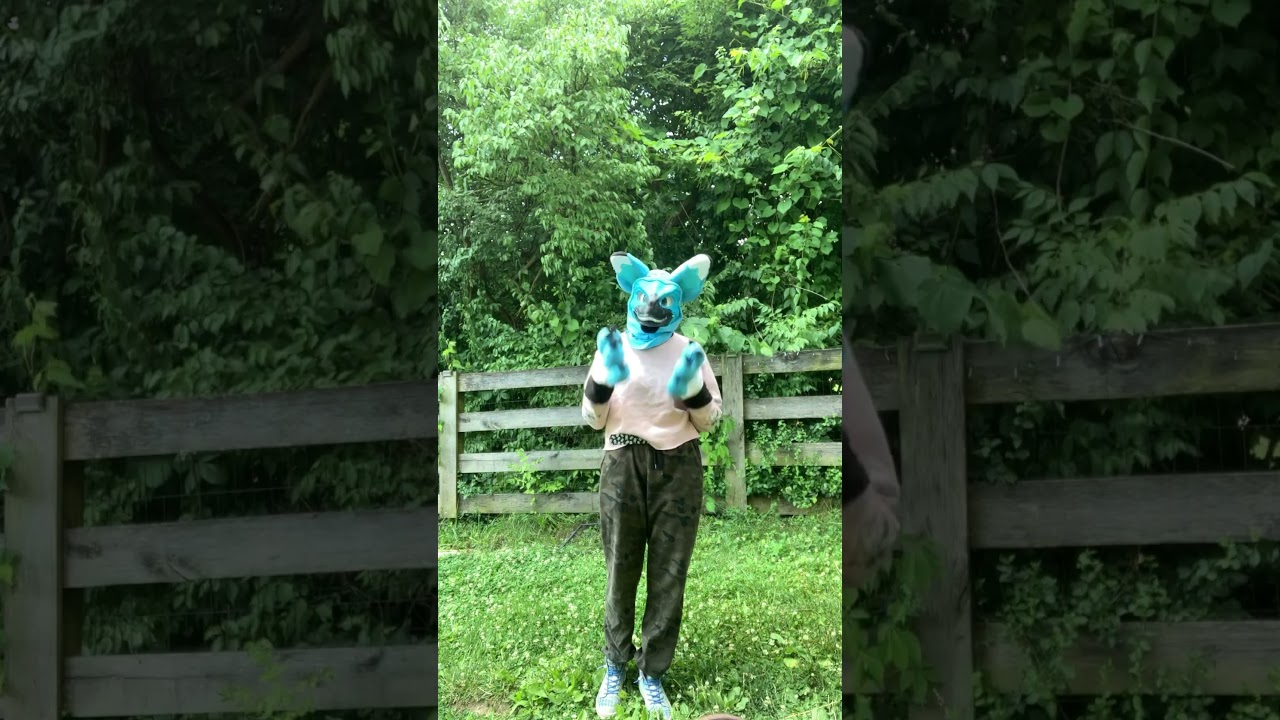 First finished (sorta) commission suit! #furry #commission #fursona #dinomask #fursuit #blue #paws