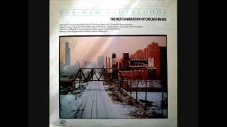 LIL' ED & THE BLUES IMPERIALS - Young Thing