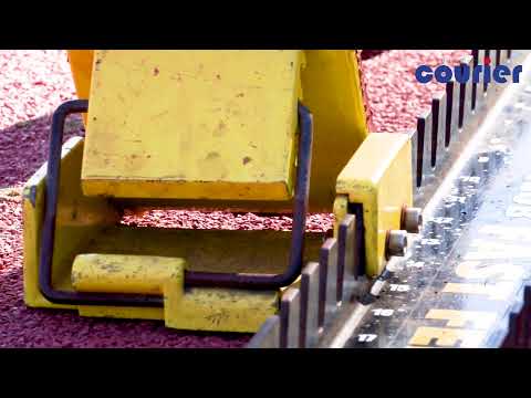 Watch: Chasing Olympic Gold