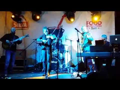 Electric Brother Live Band - Tristețe [Live @ Bulz&Blues 2014]