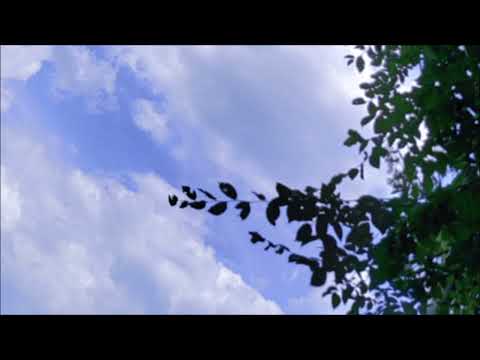 Kaisaku - Ease Of Mind