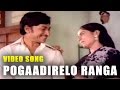 Pogaadirelo Ranga Kannada Video Song Haalu Jenu ಹಾಲು ಜೇನು Rajkumar TVNXT Kannada Mus