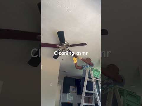 Ceiling Fan Cleaning