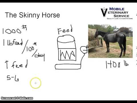 How to feed a horse to gain weight