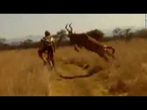 Survival of the fittest: Antelope vs. Cyclist edition