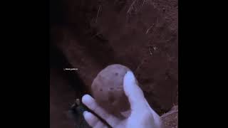 Download lagu story wa 30 detik Jangan sombong mp3