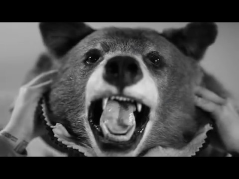 Joey Stylez - Step (lightning & thunder) In-Studio Shoot