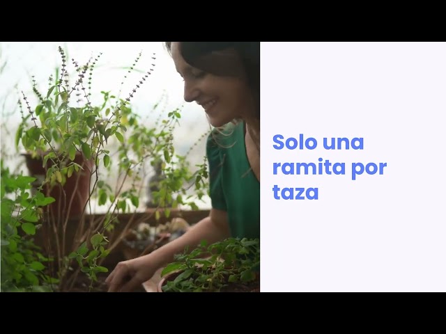 Vídeo relacionado con Hornimans Infu Sueños | Infusión con Pasiflora 100% Natural | 20 bolsitas | Sin Teína