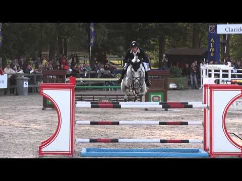 Untouchable (webstallions.com)