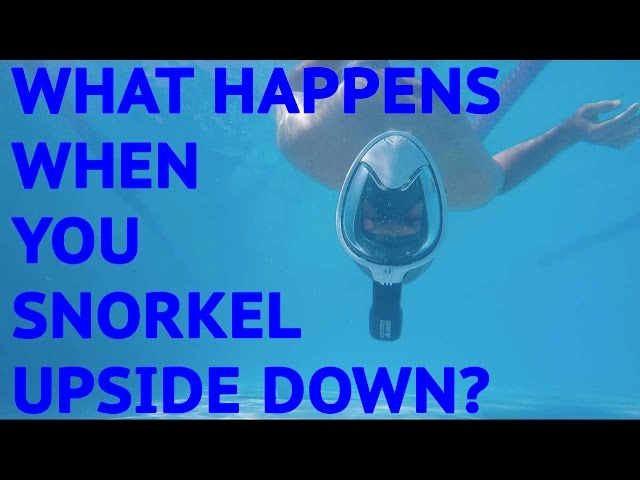 What Happens when you Snorkel Upside Down?