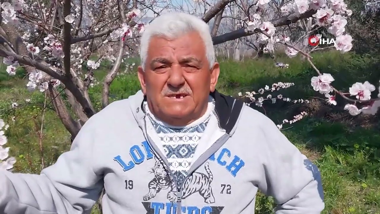 Mut Beyaz Gelinliğini Giydi: Kayısı Ağaçları Erken Çiçek Açtı