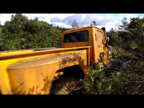 Trilha do Steiner - 04/08/2018 | Rio dos Cedros - SC |