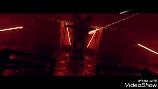 Video 17 Ani Carla&#39;s Dreams