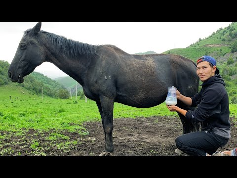 The Traditional Drink Of Nomads Is KUMYS From Horse Milk And Kuurdak From Lamb In The Mountains