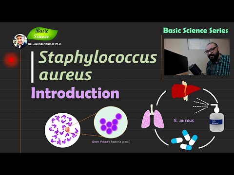 Staphylococcus aureus | Introduction | Bacteriology | Basic Science Series