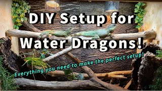 DIY Chinese Water Dragon Setup