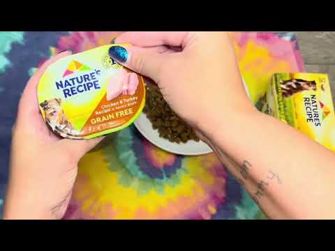 Nature's Recipe No Grain Dog Food Review
