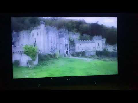 Birds wake the camp mates on I’m A Celebrity 24/11/2021