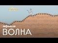 «Дуб и просто дерево» feat. «Наадя» — «Круги» 