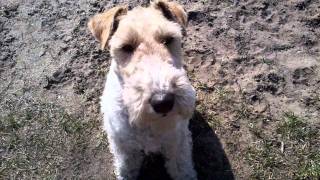 Bianca Ryan I Believe I Can Fly