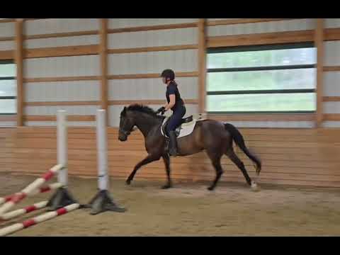 Fifi video 1