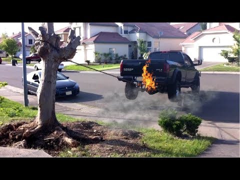 TRUCKS VS TREE STUMPS - Who Will Win? let's find out!