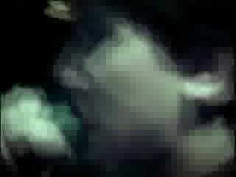 Três Porquinhos video