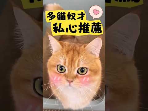 稻殼貓砂-6包入-單包135