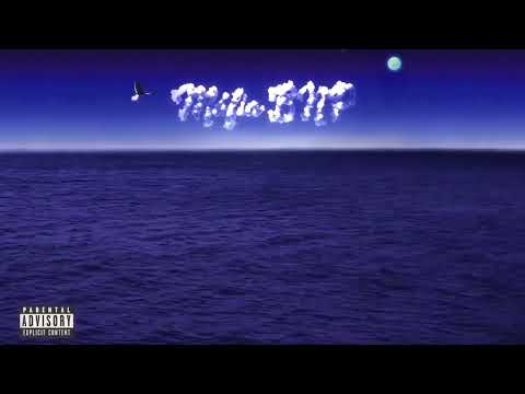 Putodiparis and Mahal Reis