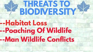 Threats To Biodiversity : Habitat Loss , Poaching Of Wildlife , Man Wildlife Conflicts