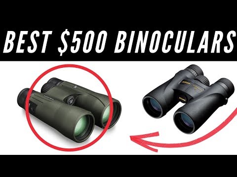Best Binocular Under $500 - Top 3 Picks