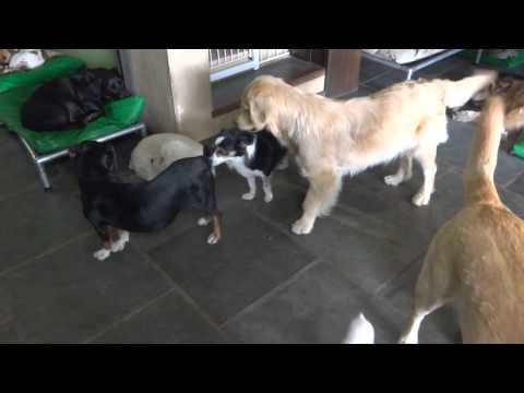 29-08-2014 (parte 04)