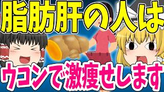 【ダイエット】ほとんどの日本人は"ウコン"で痩せます