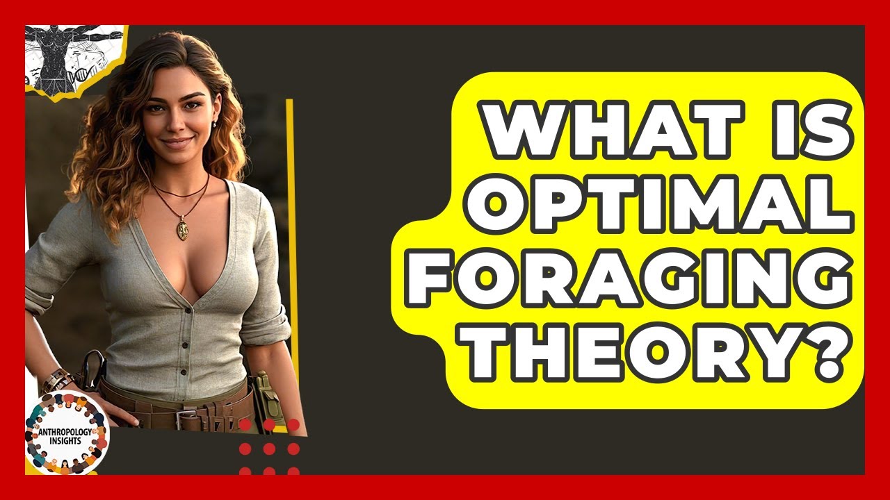 What Is Optimal Foraging Theory? - Anthropology Insights