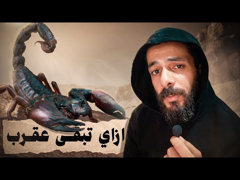 الحياة من وجهة نظر العقرب