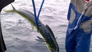 Download lagu la Tansa Fishing Club mp3