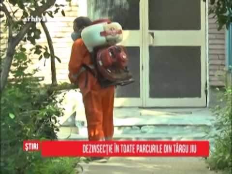 Ştiri Regionale - 08.06.2015