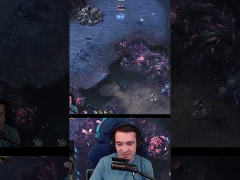 The most confusing fight in SC2 history