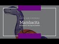 South Side Symphony - Mambacita (for piano and string orchestra) [Composed by Marcus Norris]