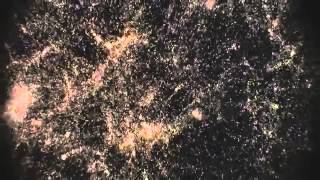 DubFx Sky is Forever