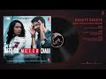 Dekhte Dekhte Full Song | Rahat Fateh Ali Khan | Batti Gul Meter Chalu |Shahid|Shraddha| Nusrat Saab